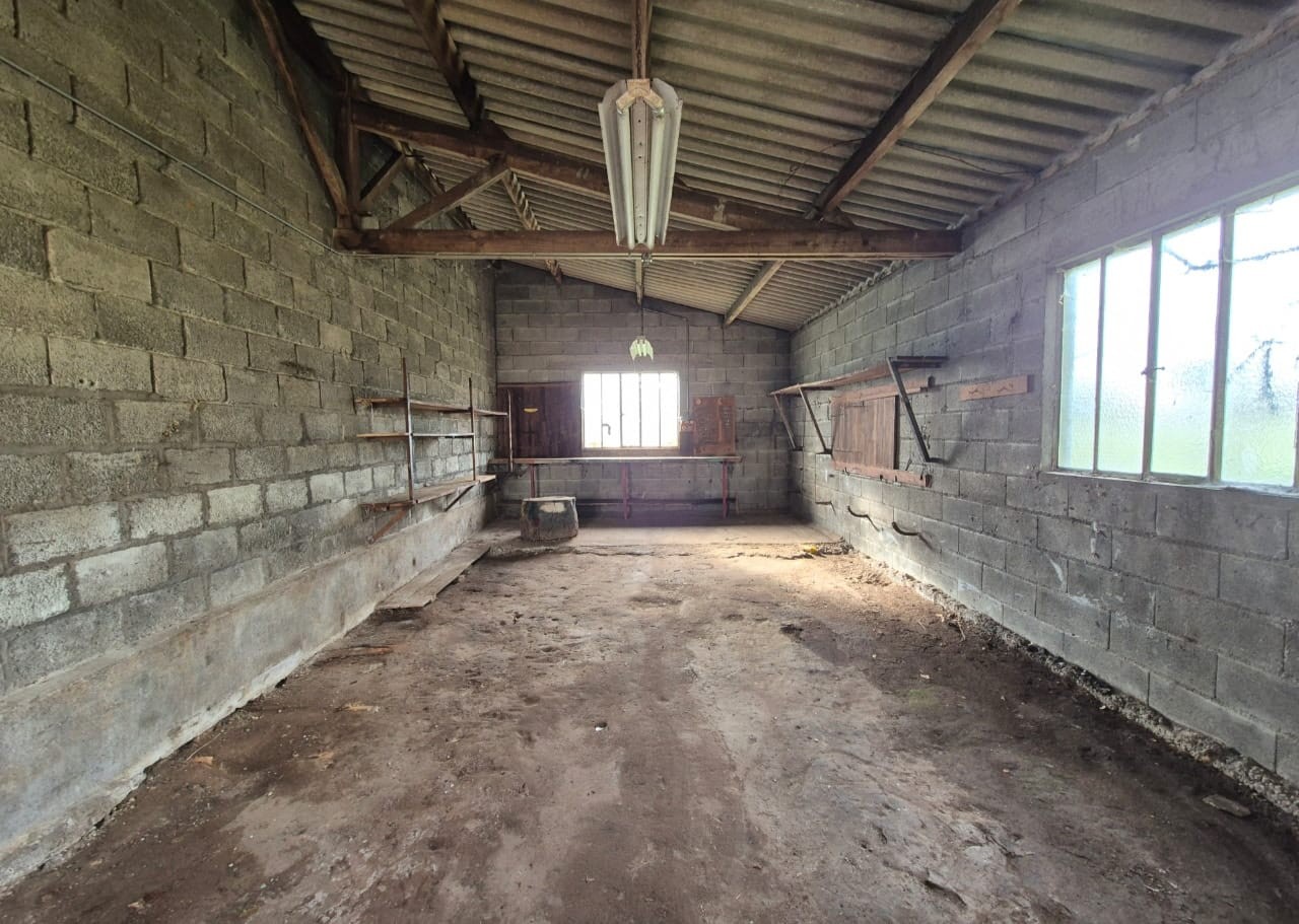 Après débarras de maison : intérieur vidé après intervention en Creuse
